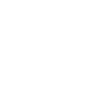 分支机构（自设）